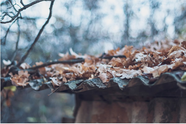 Best Waterproof Shed Roof Covering