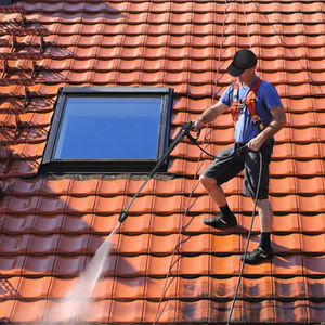 Is Roof Cleaning Necessary? Everything You Didn't Know About Scrubbing Your Shingles