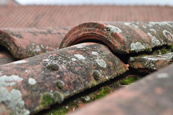 The Importance of Proactive Roof Maintenance