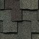 Presidential Shake&reg; Shingles