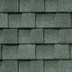 Timberline&reg; Natural Shadow&reg; Shingles with StainGuard Protection
