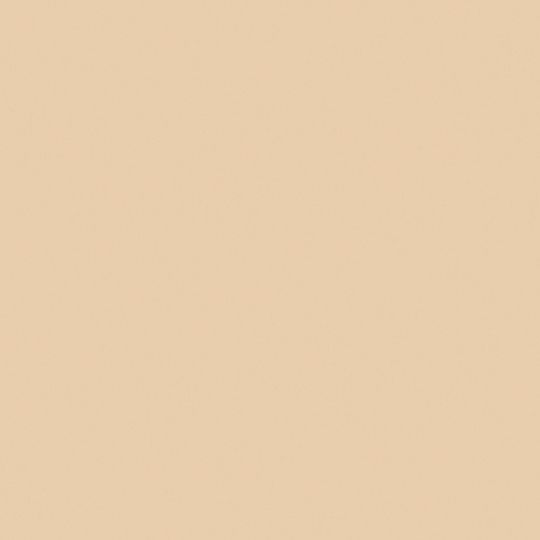 Charleston Single 6 12 Contemporary Beaded Vinyl Siding Brushed Finish 2231