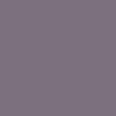 Musket Grey(62431)