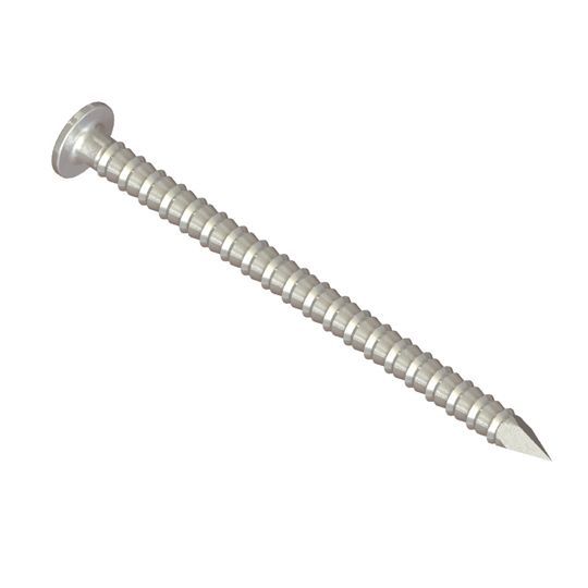 13/4" (5d) Stainless Steel Painted Smooth Shank Trim Nails 1 Lb.