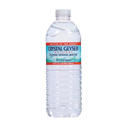 Water Bottle - 16.9 Oz.
