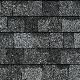 TruDefinition&reg; Duration&reg; Shingles