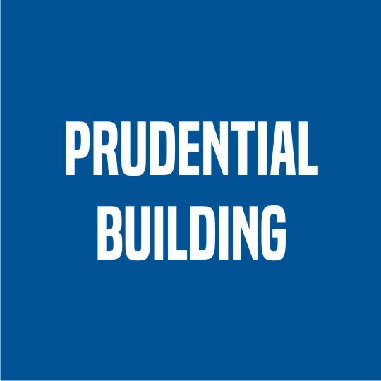 Prudential Building 2-3/8" Brite Ring Stick Nail Carton of 5,000