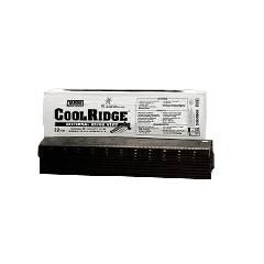 TAMKO 4' CoolRidge Sectional Ridge Vent with Nails