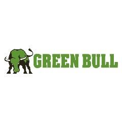 Green Bull 24' Aluminum Extension Ladder