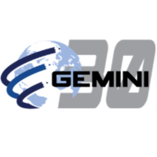 Gemini Industries AMC Spray Paint Granite Grey