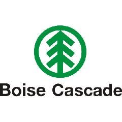 Boise Cascade 4' x 8' ZIP System&reg; Roof Sheathing