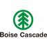 Boise Cascade 4' x 8' ZIP System® Wall Sheathing