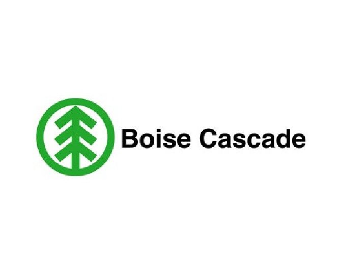 Boise Cascade 4' x 9' ZIP System&reg; Wall Sheathing