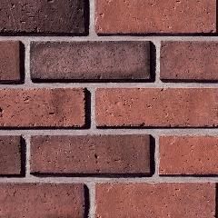 Coronado Stone 2-5/8" x 7-7/8" Wirecut Brick - 14 Sq. Ft. Brick Box Flats