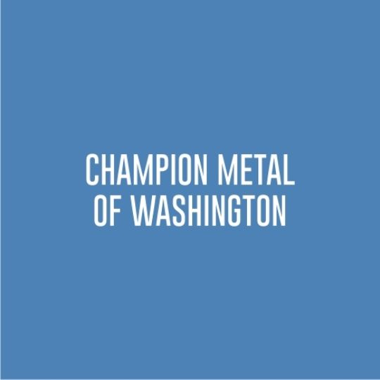 Champion Metal of Washington 3/4" x 2-3/4" Small Retrofit Dektite&reg; Fastener