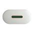 Siemens Envoy Communication Gateway for use with Siemens Microinverter