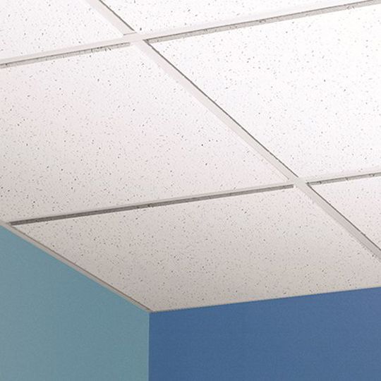 5/8" x 2' x 4' Trim Edge Baroque™ Fire Rated Mineral Fiber Ceiling Tile